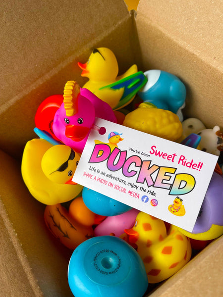 Duck Duck Game Cards with ducks and bands
