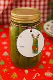 Pickleball Christmas Pickles Digital Art = Funny Holiday Dill Pickles in Jars PNG